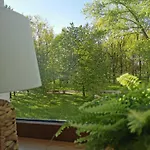 Vava * Klaipėda