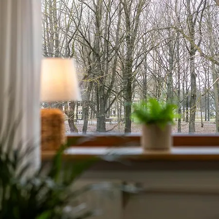 Vava Apartamento