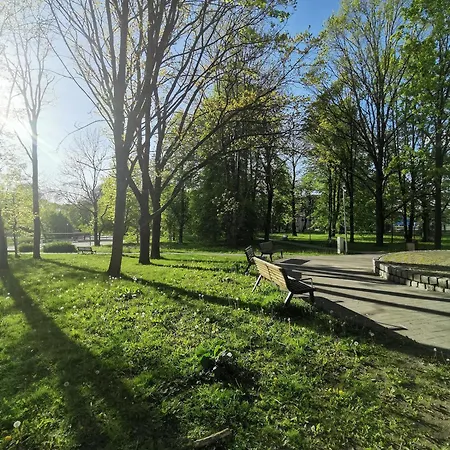 Vava * Клайпеда