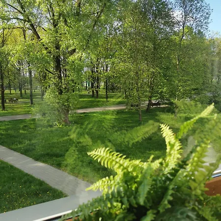 Vava Klaipeda