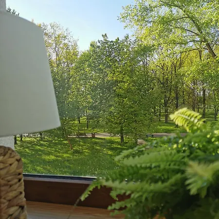 Vava * Klaipėda