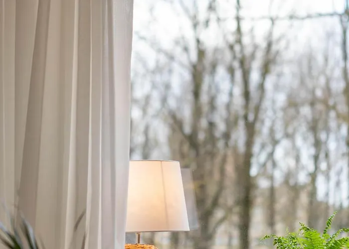 Daire Vava Klaipėda