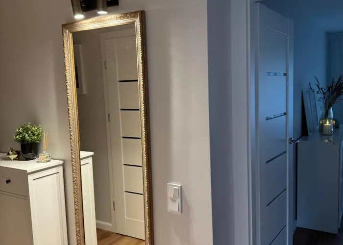 Vava Daire Klaipėda